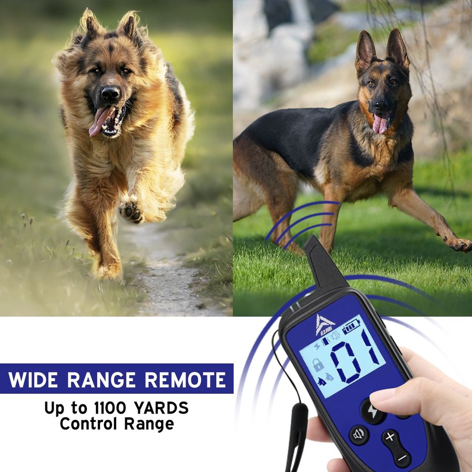 AZARI Dog Training Collar 4 Large medium Small Dogs with Remote & Clicker Shock Vibration Beep
