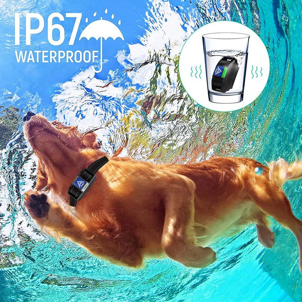 AZARI Dog Training Collar 4 Large medium Small Dogs with Remote & Clicker Shock Vibration Beep